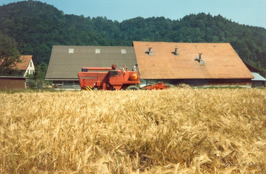 MF Drescher 21